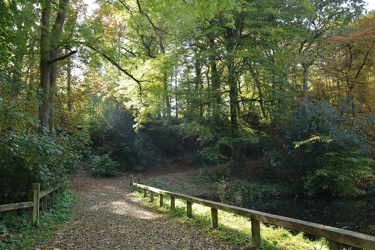 Le bois de Keroual en automne.